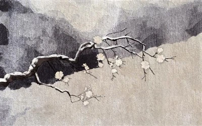 3D العنكبوت ماتس تسلا موديلي